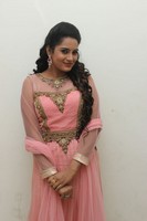 Himaja Photos at Shivam Audio Release